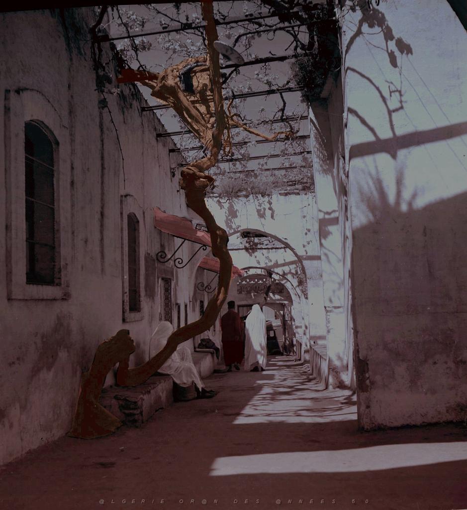 Tlemcen 504- Rue dans vieux Tlemcen.jpg